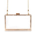 ACRYLIC BOX CLUTCH - CLEAR