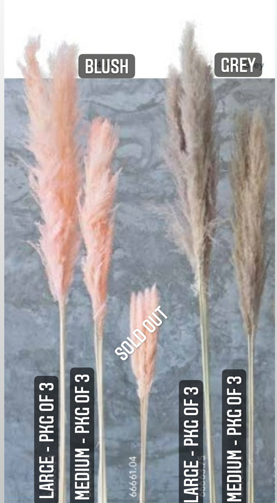 PAMPAS GRASS STEMS - PKG OF 3 - AyaZay Wedding Shoppe
