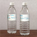 FEATHER WHIMSY WATER BOTTLE LABEL - AyaZay Wedding Shoppe