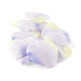 SILK ROSE PETALS - various colors