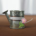 MINIATURE METAL WATERING CANS (12/pkg) - AyaZay Wedding Shoppe