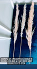 PAMPAS GRASS STEMS - PKG OF 3