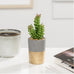 ORO GOLD BAND POTTED FAUX SUCCULENT